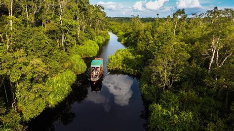 flights to borneo from manchester.